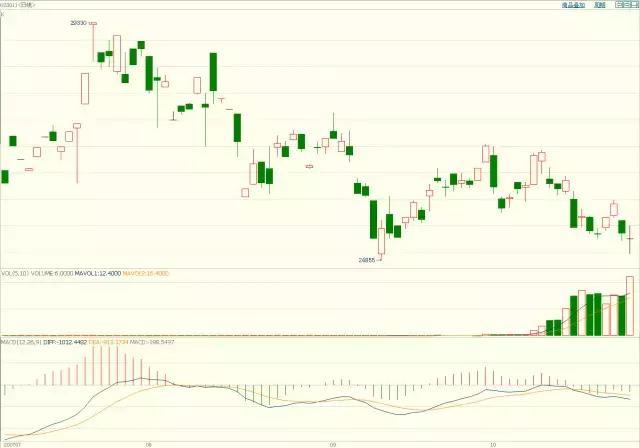 i口岸丨青茂口岸开通四周年，进出境旅客量平均年增长率超80%