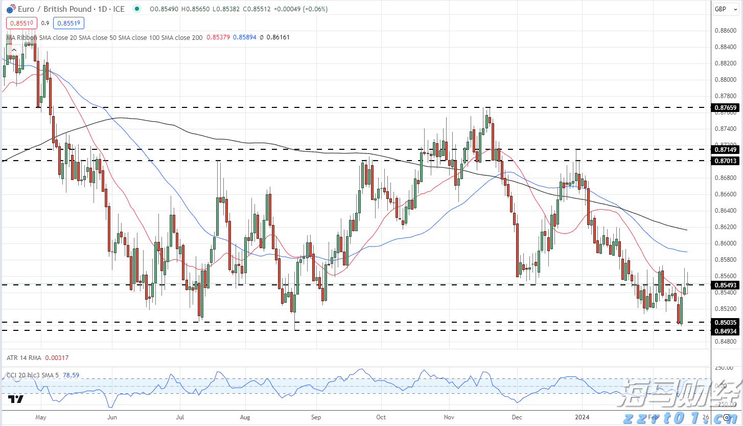 日月贝下吹着海风逛吃逛喝，浪漫值拉满！珠海绿美集市持续火爆