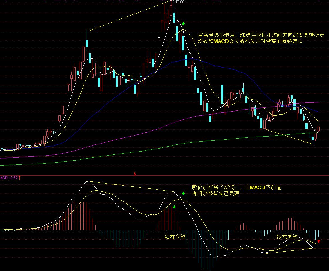 福建厦门翔安区市场监管局创新服务模式助力地方经济发展