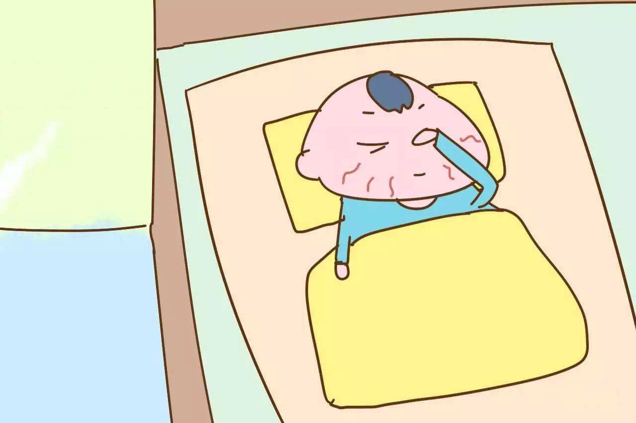 太空种子“对话”传统农书！2025南国书香节昨日启幕