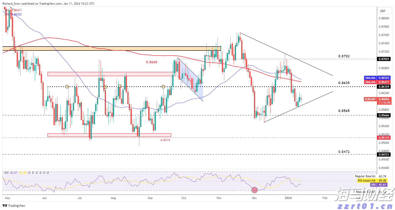 家里的这几个地方正悄悄“养”出花斑蚊，快自查→