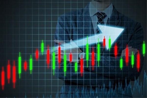 桂平市电商日均销售荔枝130多吨